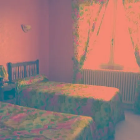 Logis Du Pont Neuf 3* Le Veurdre