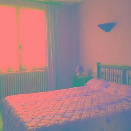 Hotel Logis Du Pont Neuf Le Veurdre